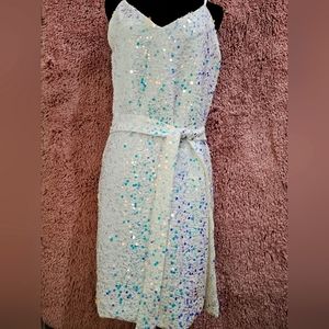 Anne Louise Boutique Jacqueline Sequin Dress